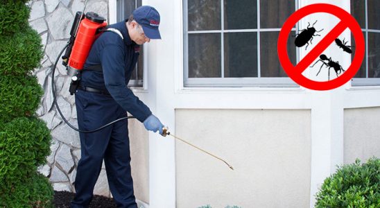 Hisarcık Böcek ve Haşere İlaçlama böcek ilaçlama ve haşere kontrolü — ilaclama-tr.com